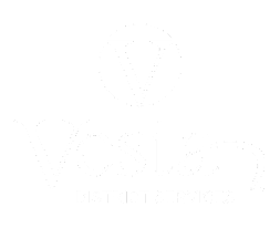 Vesta District Services